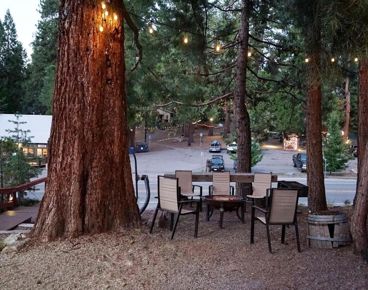 Bear Cave- Pet Friendly Suite In Shaver Lake Exterior photo